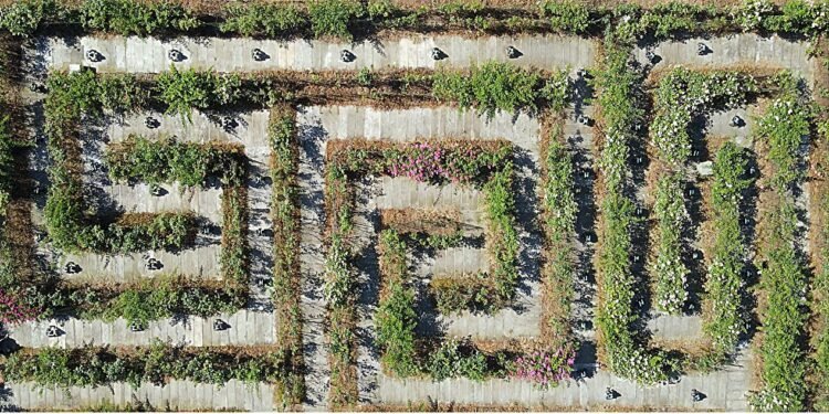 A human-inspired pathfinding approach to improve robot navigation