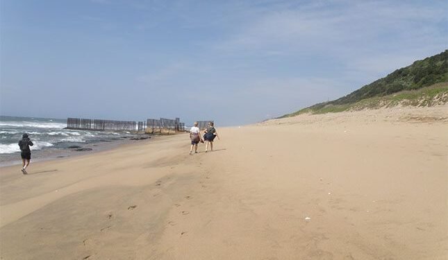 A walk back in time to the whaling days of The Bluff