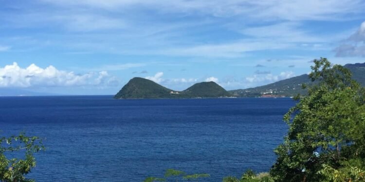 Caribbean Airlines Expands Service to Dominica With New Puerto Rico Route, More Flights From Trinidad