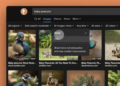 DuckDuckGo now lets you hide AI-generated images in search results
