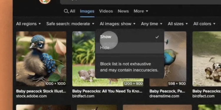 DuckDuckGo now lets you hide AI-generated images in search results