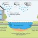 How Integrated Stormwater Management Safeguards Communities And Ecosystems