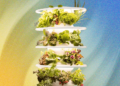 Lettuce Grow Indoor Farmstand Review: Grow Your Own