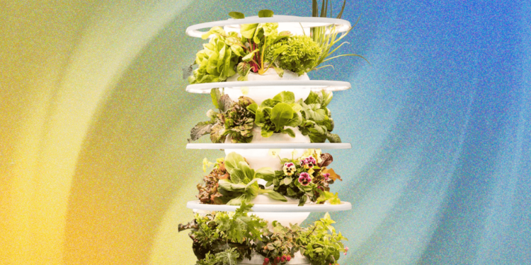Lettuce Grow Indoor Farmstand Review: Grow Your Own