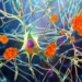 Lilly gets FDA OK of modified dosing for Alzheimer’s drug
