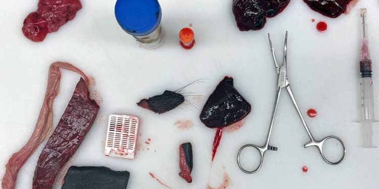 Meet LA’s detective for dead marine mammals