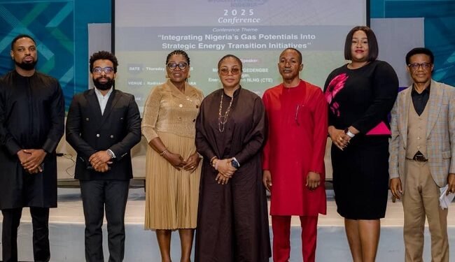 NLNG, experts highlight pathway to achieve Nigeria’s energy transition – EnviroNews