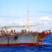 Namibia Struggles to Contain Illegal Fishing by Foreign Trawlers
