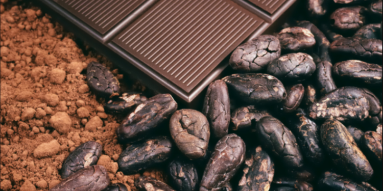 New EU regulation sparks bankruptcy fears in Africa’s largest cocoa-producing country