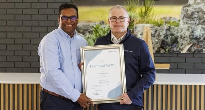 Ngodwana Mill earns Double Diamond safety honour for LTIF excellence