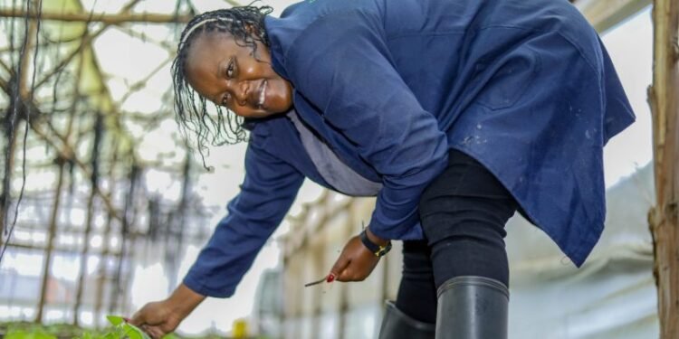 Nurturing Agribusiness Entrepreneurs through Sustainable Agric’