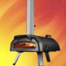Our 9 Favorite Pizza Ovens: Wood, Gas, Electric, and Grill (2025)