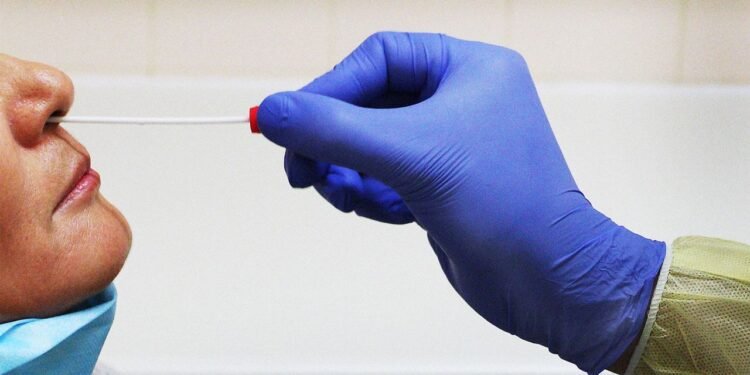 The Pandemic Appears to Have Accelerated Brain Aging, Even in People Who Never Got Covid