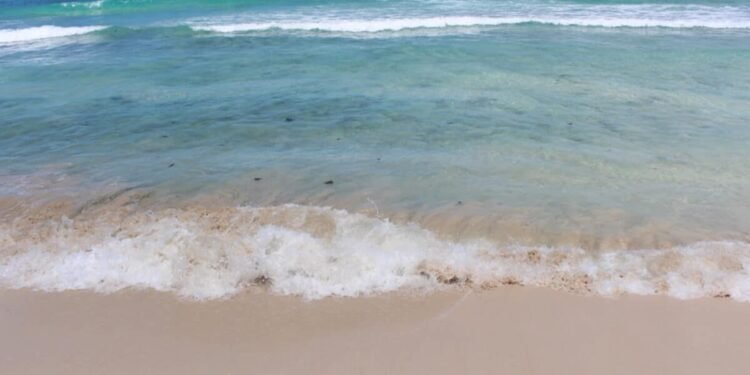 Tortola’s Long Bay Beach Is a Mile of Calm Surf and Caribbean Solitude