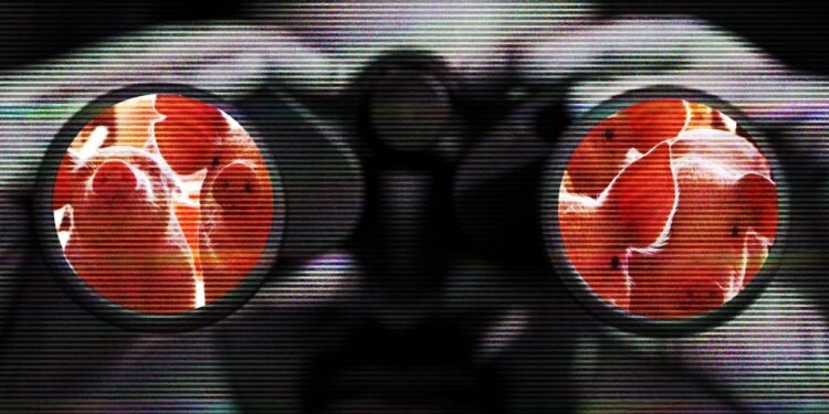 493 Cases of Sextortion Against Children Linked to Notorious Scam Compounds