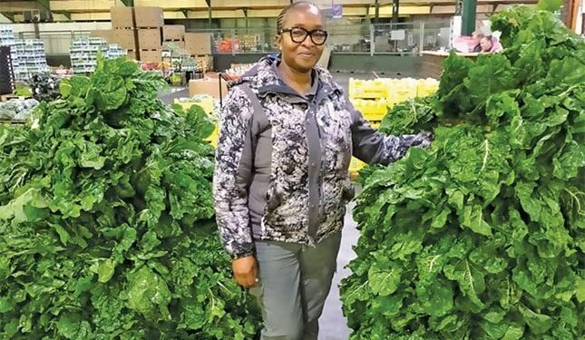 A journey from a 3ha plot to a 21ha commercial vegetable farm