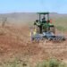 Agriculture boosts SA economy despite disease setbacks and uneven recovery