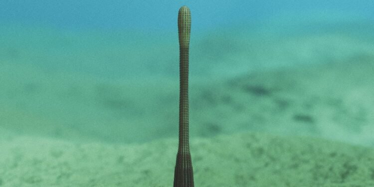 An Ancient Penis Worm With Rings of Sharp Teeth Has Been Discovered in the Grand Canyon