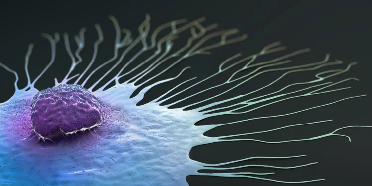 Arvinas, Pfizer reworking partnership on ‘Protac’ cancer drug