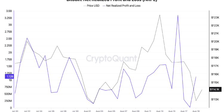 Bitcoin SOPR shows consistent profit realization despite price pullback