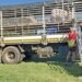 Building a farming legacy in the Eastern Cape