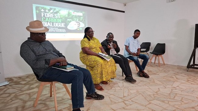 Carbon trading in Nigeria: Opportunity or exploitation? – EnviroNews