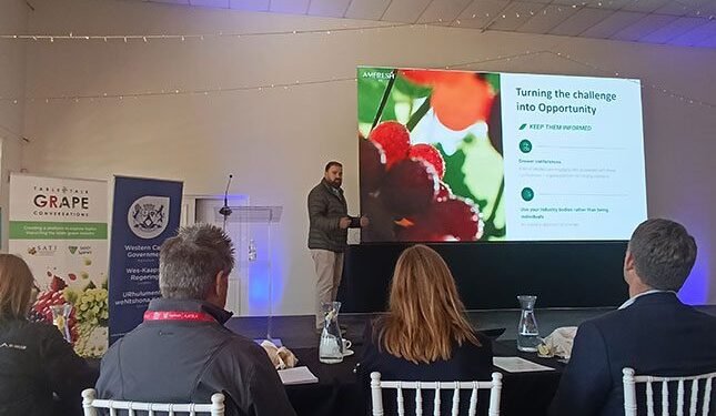 Charting new markets and navigating risks in the table grape industry