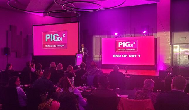 Diversification can protect pig farmers in volatile market