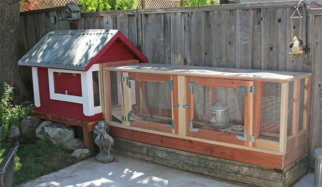 First steps to take when putting up a chicken house