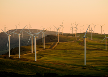 Green Energy Solutions Must Accommodate All