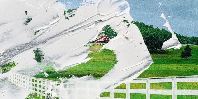 Inside the ‘Whites Only’ Community in Arkansas