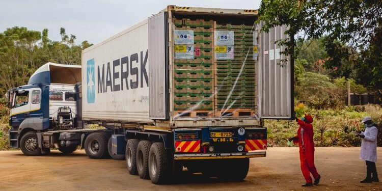 Kakuzi profit dips to $2.3M on lower tea and avocado prices