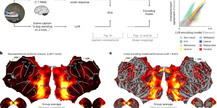 LLMs can match human brain perceptions in everyday scenes