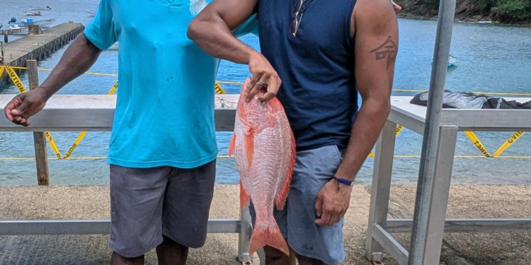 Like and love: A fish out of water