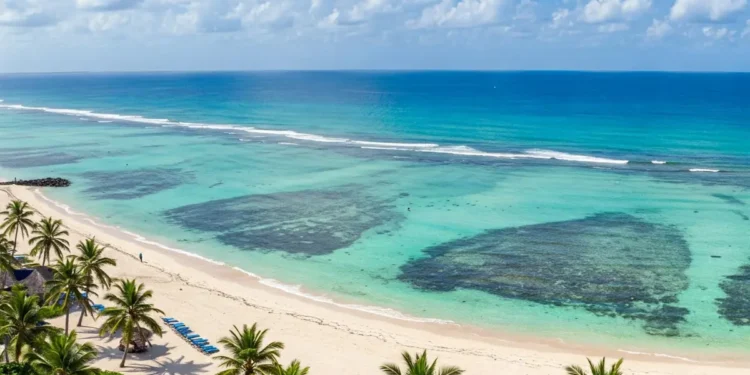 Listening to the Ocean: What If the Sea Could Speak About Climate Change?