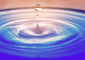 Makhanda: The Collapse of an Iconic South African City