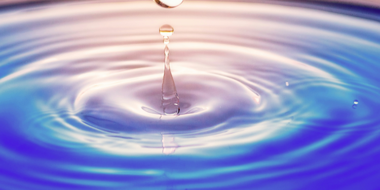 Makhanda: The Collapse of an Iconic South African City