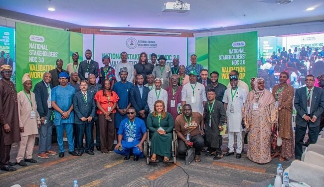 NDC 3.0: Make financing practical, accessible to states – Niger Environment Commissioner – EnviroNews