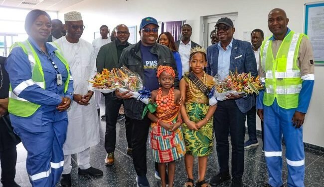 NLNG seeks investments to stabilise gas supply – EnviroNews