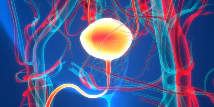 Pfizer looks to expand ADC use after positive bladder cancer data