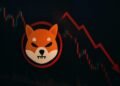 Shiba Inu to Surge After Meme Coin Market Adds $14 Billion Since July
