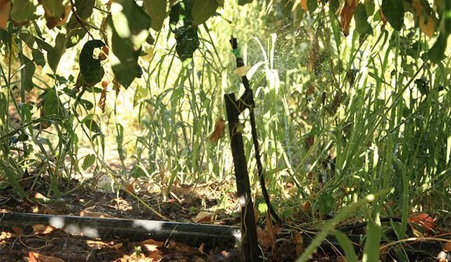 Some handy on-farm water saving tips