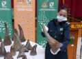 South African Police busts international rhino horn syndicate, arrests six – EnviroNews