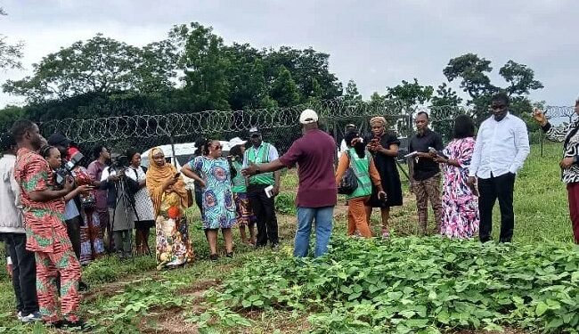 Stakeholders advocate GMO technology for improved food security – EnviroNews