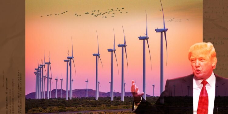 The Trump team sets double standard on migratory bird rules