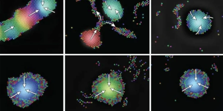 Tiny “talking” robots form shape-shifting swarms that heal themselves