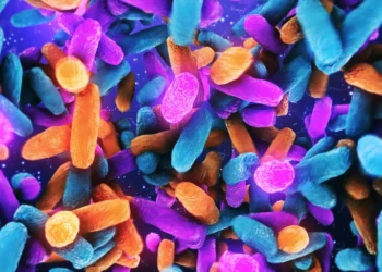 Vedanta, PureTech’s microbiome startup, to cut staff after study setback