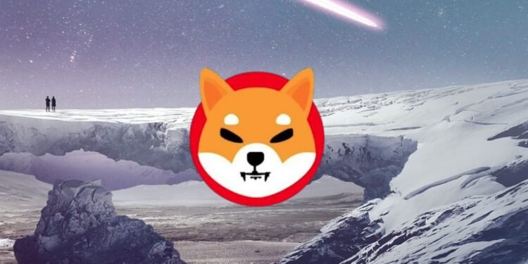 Why You Should Buy Shiba Inu Now