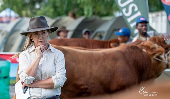 Willemien Pieterse on life as a cattle inspector and show judge
