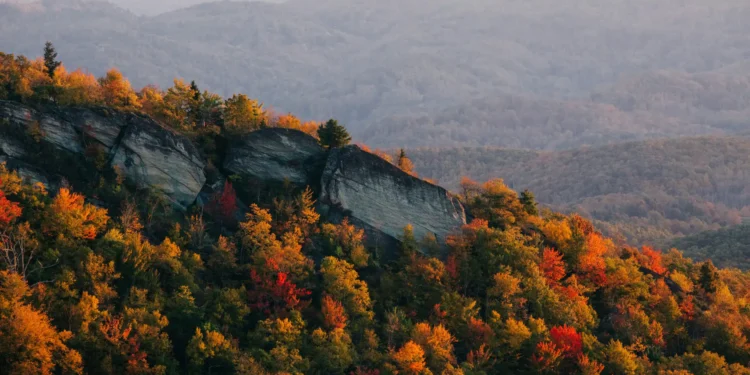 insightsoftware and Orbitax Partner to Deliver Comprehensive Tax Reporting and Pillar Two Compliance Solution